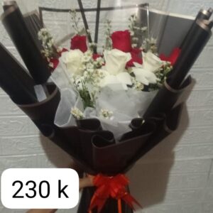 HB06